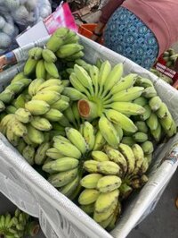 chuối sáp nghệ Miền Tây