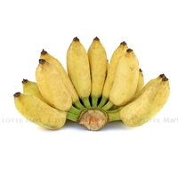 Chuối sứ (Chuối tây) 1.5kg