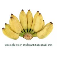 Chuối sứ nhánh 1.3KG (1 Nhánh)