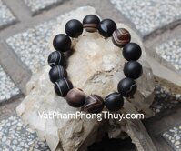 Chuỗi vỏ ốc hóa thạch lớn S6305