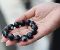 Chuỗi vỏ ốc hóa thạch lớn S6305