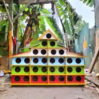 Chuồng bồ câu gỗ loại 31 lỗ tròn nuôi được 16 đôi chim bồ câu thả rông