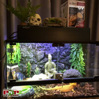 Chuồng bò sát giá rẻ – mở cửa đằng trước, có khóa