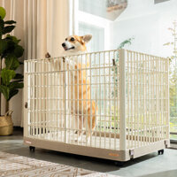 Chuồng chó Alice trong nhà, chuồng nhựa cho chó nhỏ, vừa và lớn, chuồng cho mèo có giường