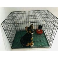Chuồng chó mèo size lớn dành cho chó mèo 25 kg-tặng kèm khay vệ sinh
