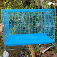 Chuồng cho sóc bay và sóc khác, chim, vẹt...