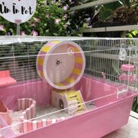 Chuồng hamster, Size 60cm mặt mica, KHÔNG PHỤ KIỆN