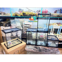Chuồng kính nắp lưới khung nhựa đen cho Ốc Mượn Hồn, bò sát, rắn, ếch, kiến, nhện, thằn lằn,... nhiều kích thước