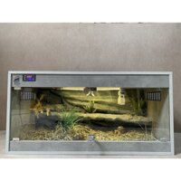 Chuồng Lồng Bò Sát Full Setup 1mx50x50 gồm đèn UVB &UVA