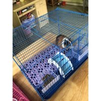 Chuồng Lồng Sơn Tĩnh Điện Sóc Bay Úc Sugar Glider, Thỏ, Chuột Lang, Bọ Ú, Chim