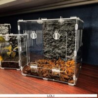 Chuồng mica 2 cửa bản lề  20-50cm cho bò sát , nhện , hamster.... - Lồng lắp ghép