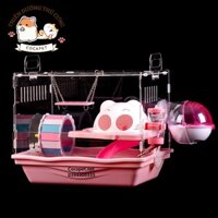Chuồng mica cao cấp đầu mèo cho hamster kích thước 36x27x30cm