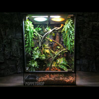 Chuồng Nuôi Bò Sát Giá Rẻ “Kèm Set Up” – (HN HCM) – (Kính)