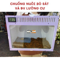 Chuồng nuôi bò sát, rắn, ếch pacman, rùa, ốc mượn hồn
