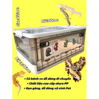 Chuồng Nuôi Bò Sát Thằn Lằn Da Báo, Nhện, Tắc Kè, Các Loài Bò Sát Nhỏ