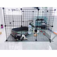 Chuồng nuôi thú cưng chó, mèo, chuột, sóc, thỏ  lắp ghép tại nhà