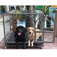 Chuồng Sắt Chó Mèo Size Trung - Sơn Tĩnh Điện