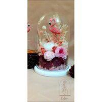 Chuông thủy tinh hoa khô trang trí 🌸