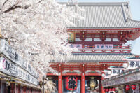 Chương trình Tour du lịch Nhật Bản Cao Cấp  TẾT NGUYÊN ĐÁN 2024 + LỄ 14/2 6N5Đ