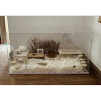 Chuồng Trong Suốt Nuôi Chuột Hamster, Bò Sát Cỡ Lớn