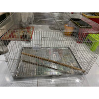 Chuồng/lồng inox 201 nuôi rồng nam mỹ, bò sát, nuôi chim (có khay đựng phân,khúc cây,2 khay nước)