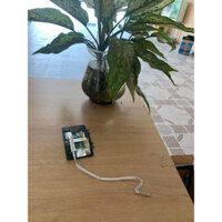 Chuột cảm ứng touchpad dành cho laptop asus x301a ( tháo máy )