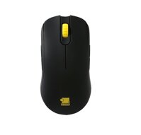 Chuột gaming Zowie Fk2