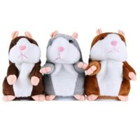 Chuột Hamster Biết Nói Dễ Thương