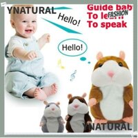 Chuột Hamster Biết Nói Dễ Thương