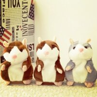 Chuột Hamster biết nói. Quà tặng thú vị cho bé