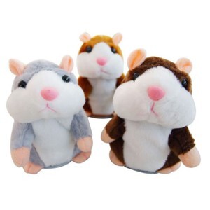 Chuột hamster biết nói