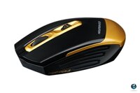 Chuột không dây Newmen F600