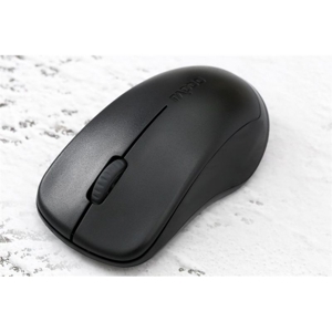 Chuột máy tính Rapoo 1620