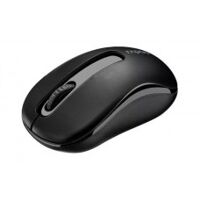 Chuột không dây Rapoo M219