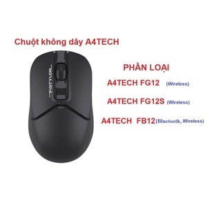 Chuột máy tính A4tech FB12