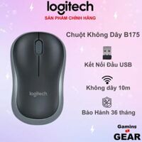 Chuột máy tính không dây Logitech B175 - USB 2.4Ghz