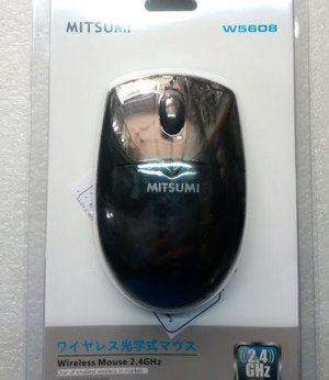 Chuột máy tính - Mouse Mitsumi W5608