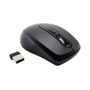 Chuột máy tính - Mouse Mitsumi W5656