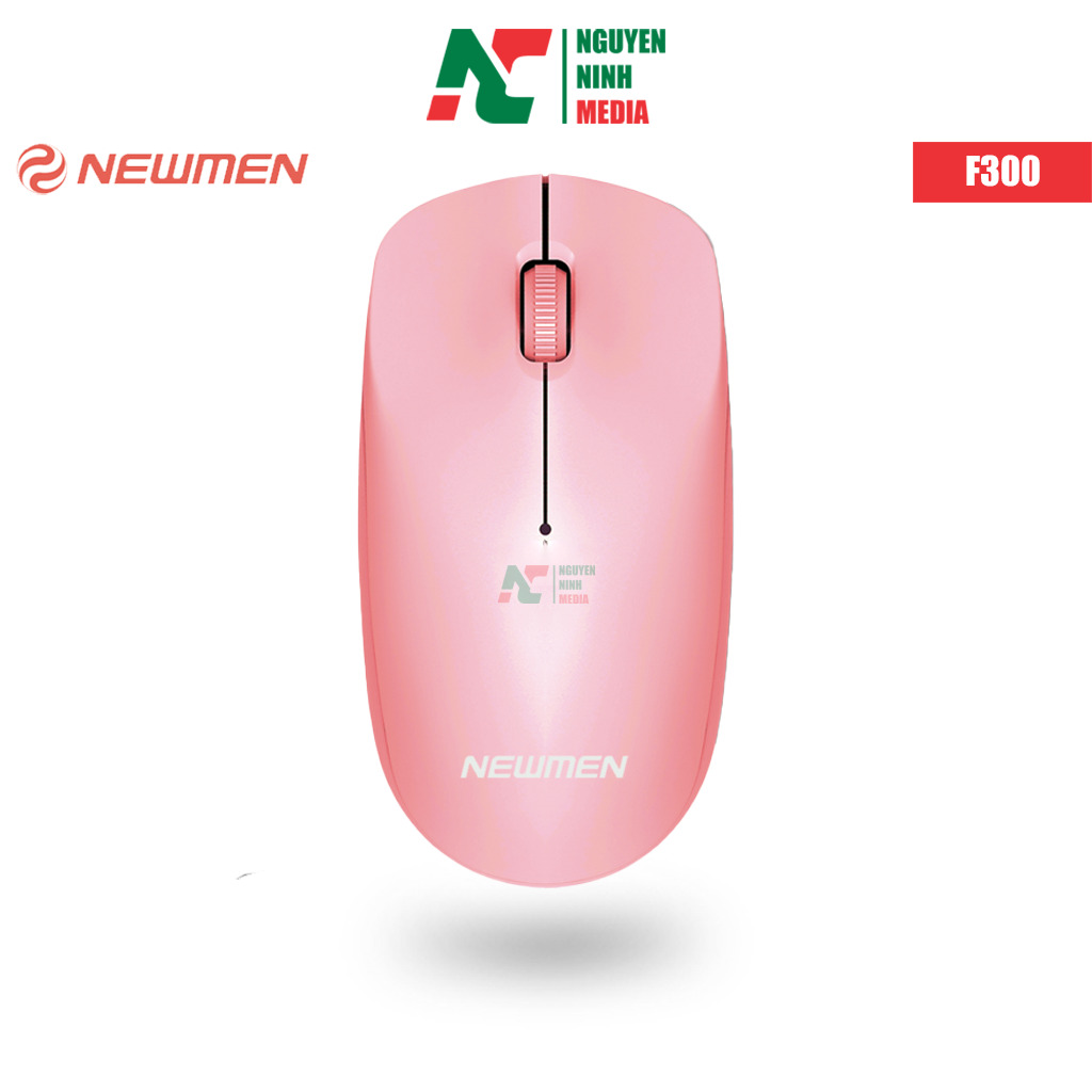 Chuột máy tính - Mouse Newmen F300