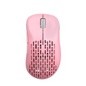 Chuột máy tính - Mouse Pulsar Xlite Wireless v2