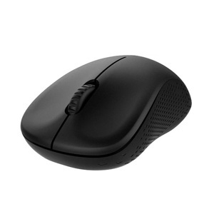 Chuột máy tính - Mouse Rapoo M22
