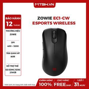 Chuột máy tính - Mouse Zowie BenQ EC1