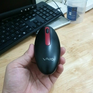 Chuột máy tính Sony VGP-BMS21