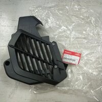 Chụp CHE két nước Honda SH việt vn 125 150 2013 2014 2015 2016 2017 2018 2019