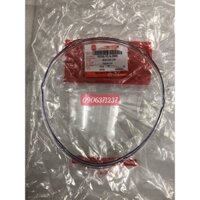 Chụp pha đèn (kiếng pha đèn) xe Elizabeth Fi Zin