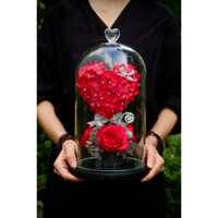 chụp thuỷ tinh hoa hồng bất tử size lớn