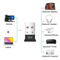 Chuyển Đổi USB BT V5.0 Bộ Thu Bluetooth Không Dây USB Mini Bluetooth Dongle Cho Chuột Laptop Bàn Phím Phụ Kiện