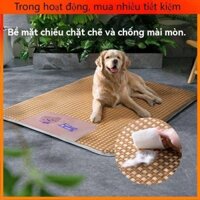 [Chuyển Phát Nhanh] Thu Cúc Mã Xuân Mã Hải Đăng Mã Hải Đăng Mã Hải Đăng Mã Hải Đăng Mã Hải Đăng Mã Hải Đăng Mã Hải Đăng Mã Hải Đăng Mã Hải Đăng Mã Hải Đăng Mã Hải Đăng Mã Hải Đăng Mã Hải Đăng Mã Hải Đăng Mã Hải Đăng Mã Hải Đă