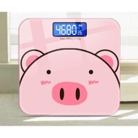 CHUYÊN SỈ CÂN HEO MINI