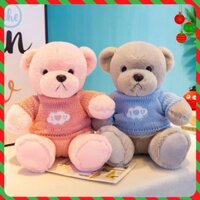 [CHUYÊN SỈ GIÁ SỐC]  Gấu Bông Teddy Cao Cấp Áo Len Size Nhí 25cm (NGẪU NHIÊN) [ DIABRAND ]